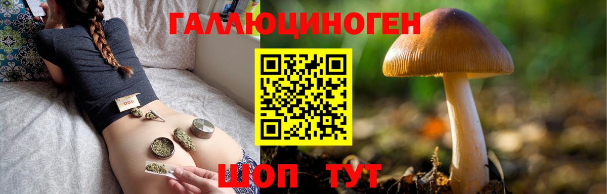 Псилоцибиновые грибы мицелий Кирово-Чепецк