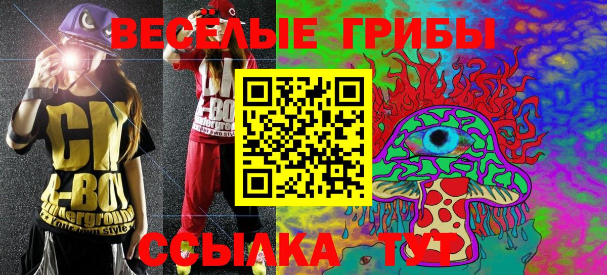 Кирово-Чепецк  купить   Вход с VPN  Галлюциногенные грибы GOLDEN TEACHER 